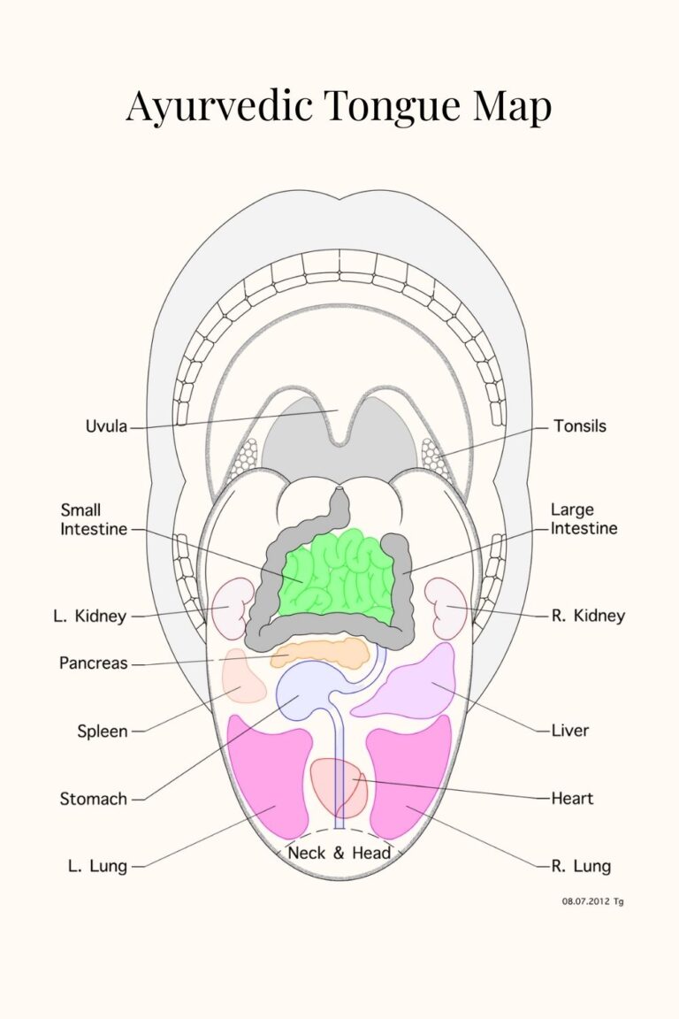 Discover Ayurvedic tongue diagnosis to check your daily doshic balance. Learn signs of Vata, Pitta, Kapha imbalances + self-care tips.