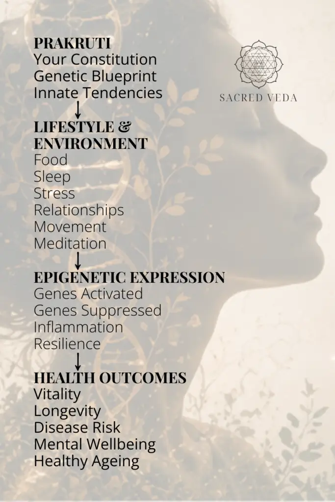 Ayurveda & Epigenetics: Why Your Genes Are Not Your Destiny
